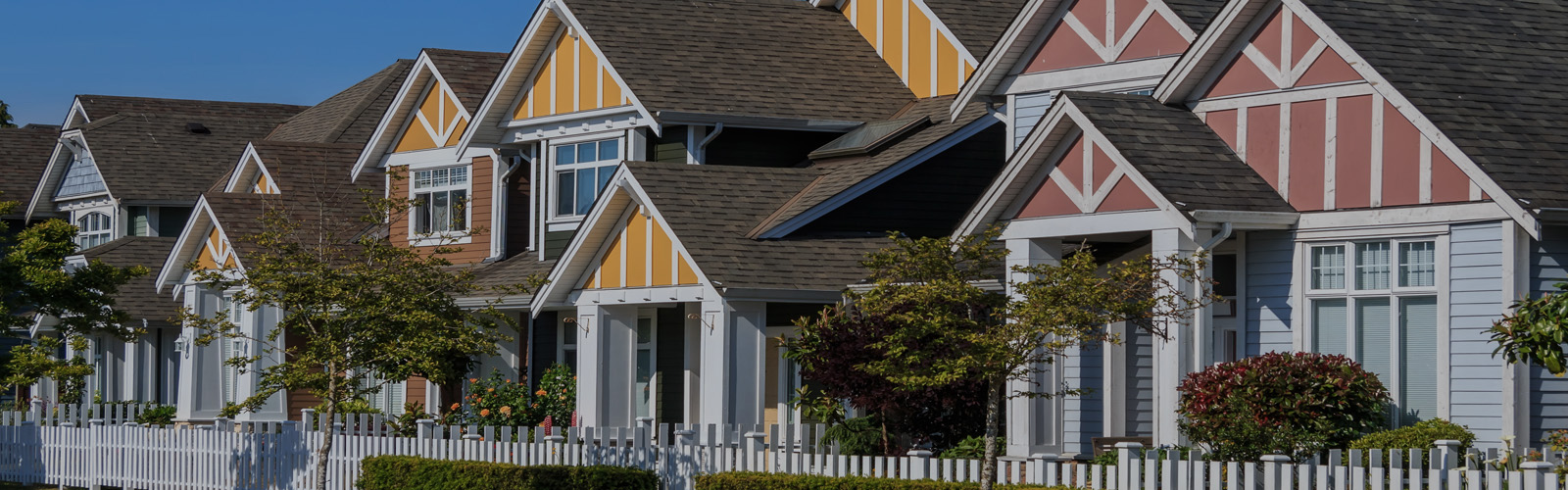 House Painter in Colorado