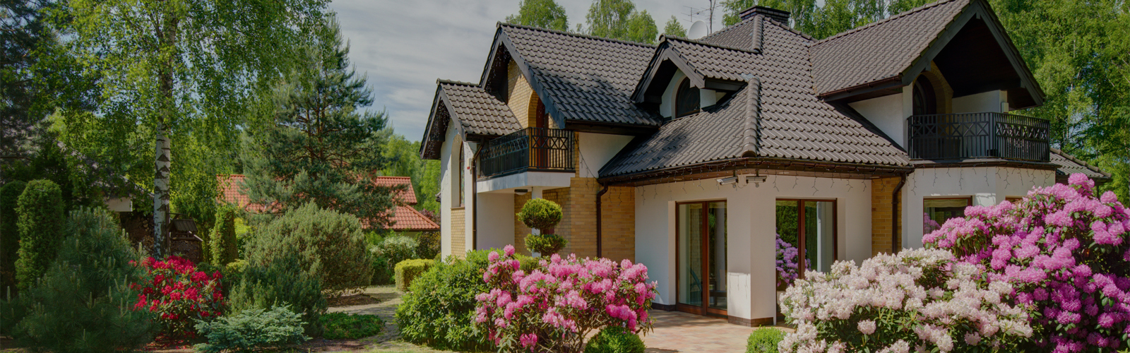 House Painter in Colorado